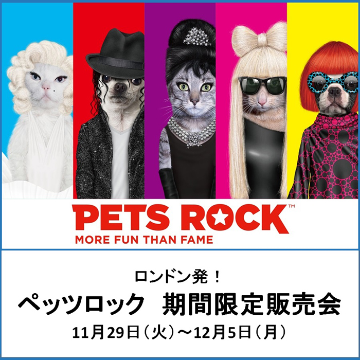 PETS ROCK コースター5点セット - その他